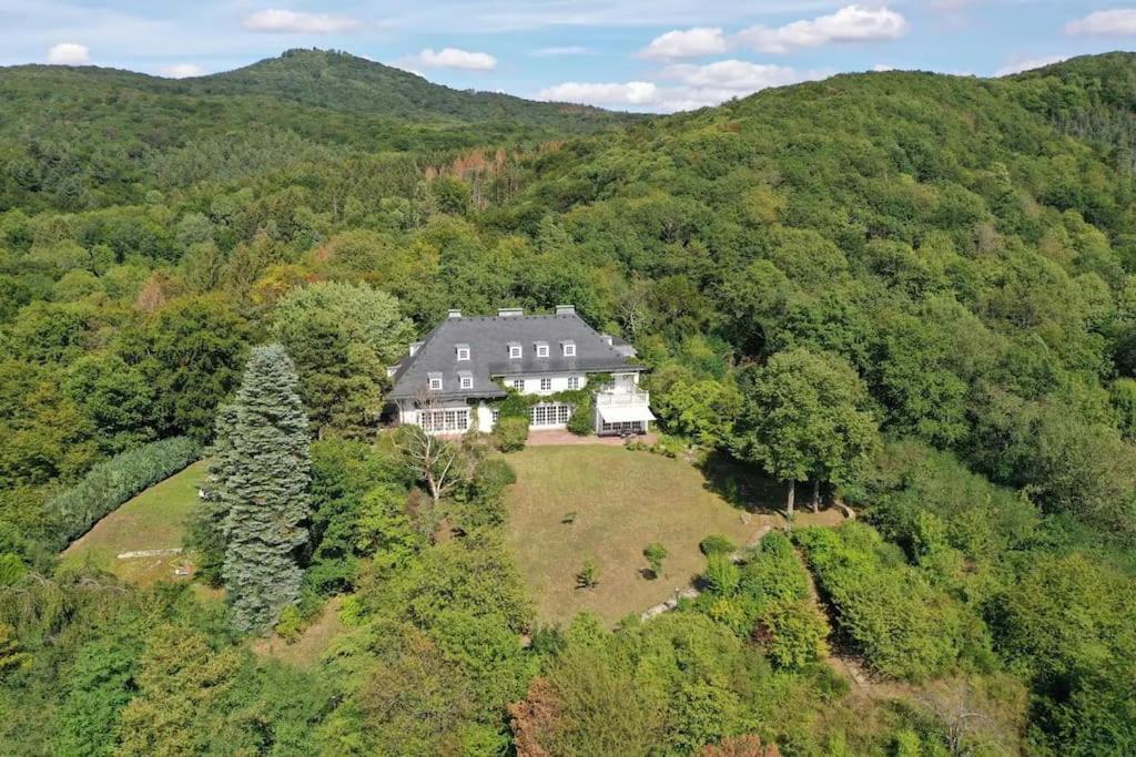 Villa Heckenfels バート・ホンネフ・アム・ライン エクステリア 写真